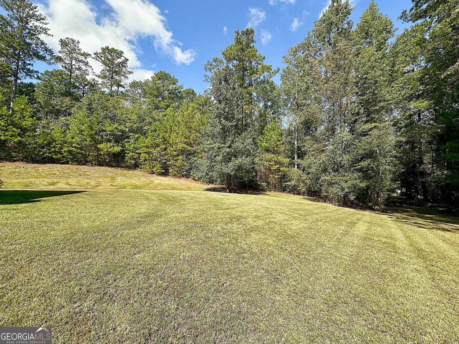 950 John Lovelace Road Lagrange - Photo 36