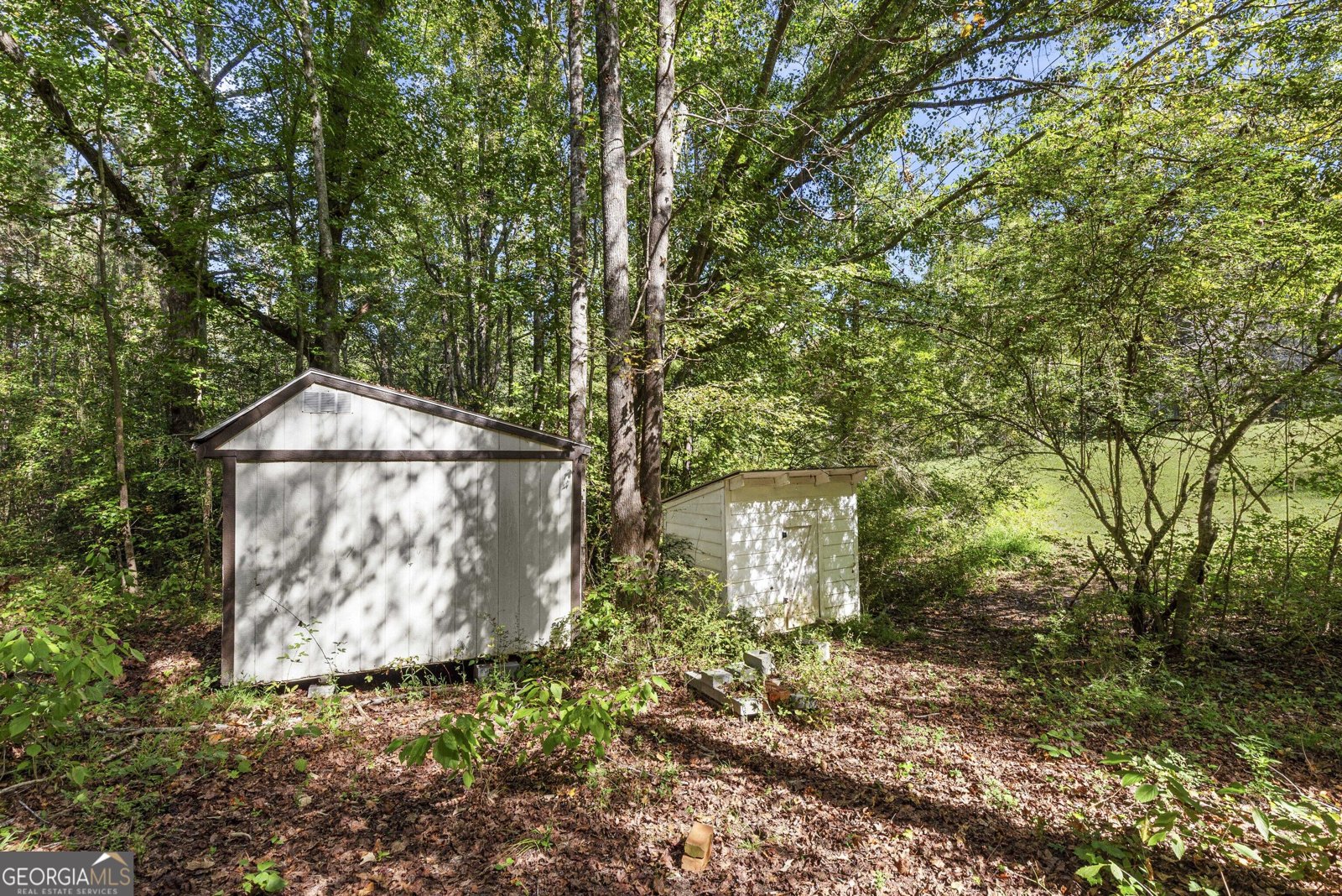 56 Jaybird Road Carrollton - Photo 39