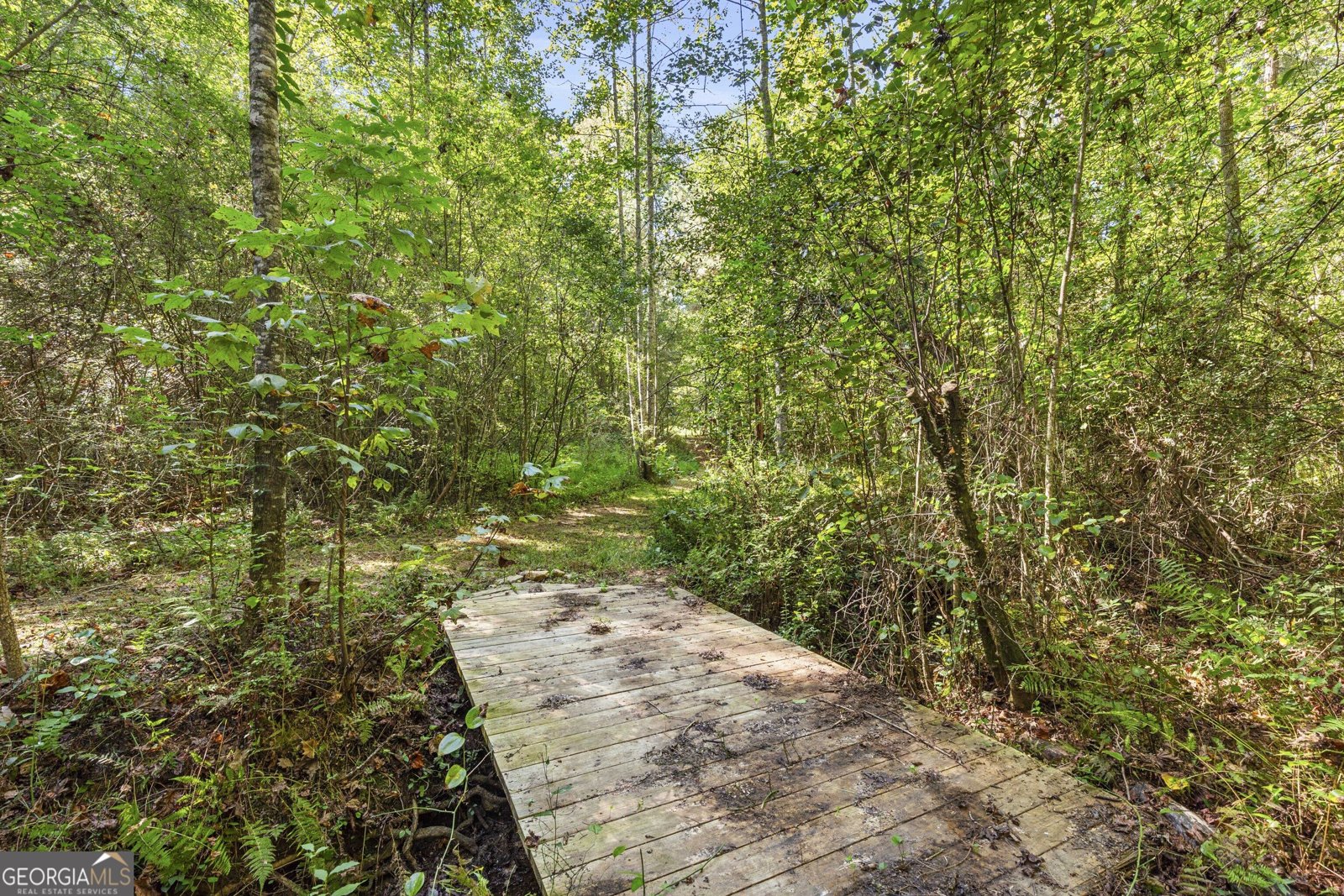 56 Jaybird Road Carrollton - Photo 42