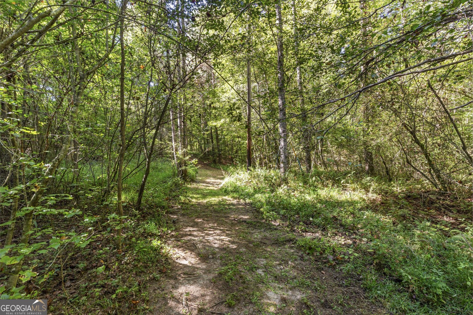 56 Jaybird Road Carrollton - Photo 43