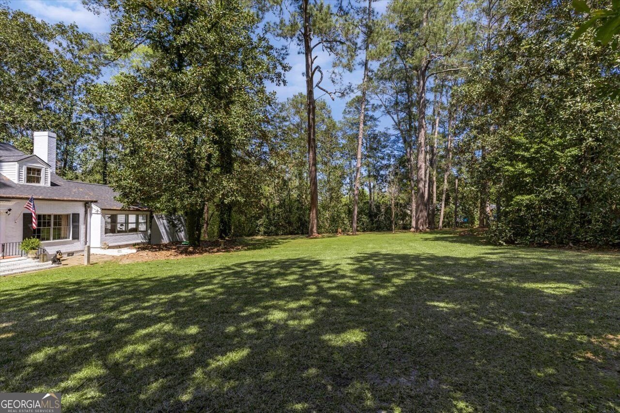 34 Pine Level Drive Hawkinsville - Photo 7