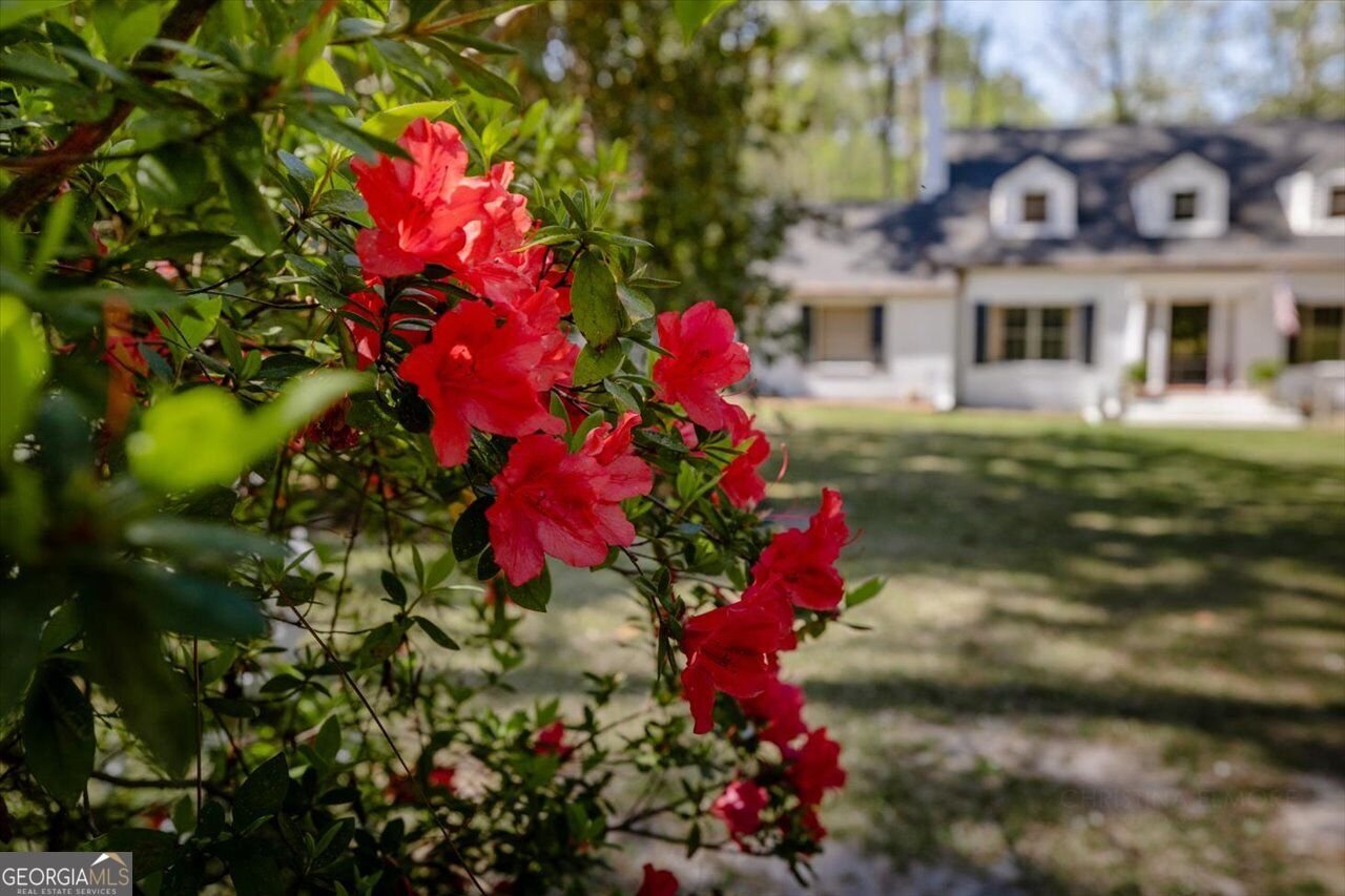 34 Pine Level Drive Hawkinsville - Photo 78