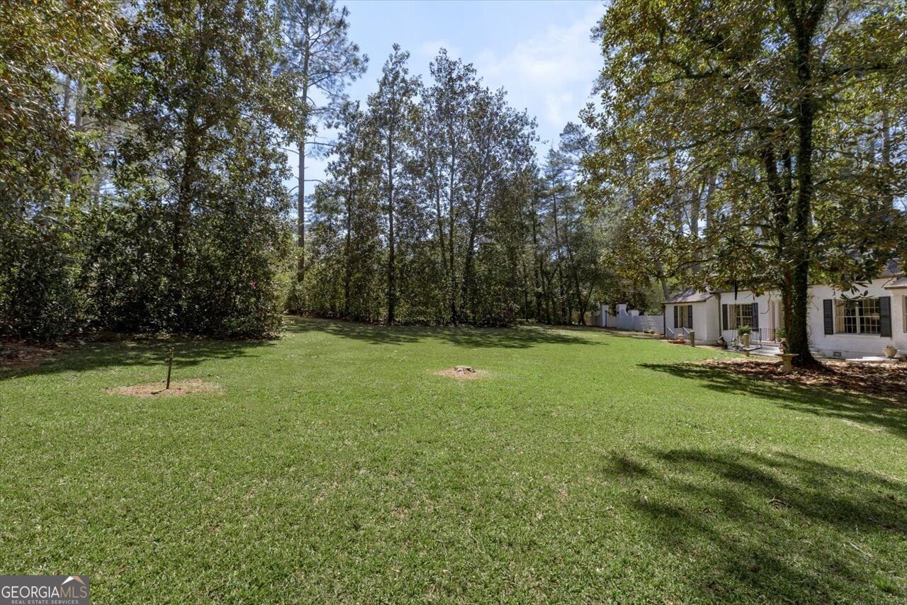 34 Pine Level Drive Hawkinsville - Photo 8