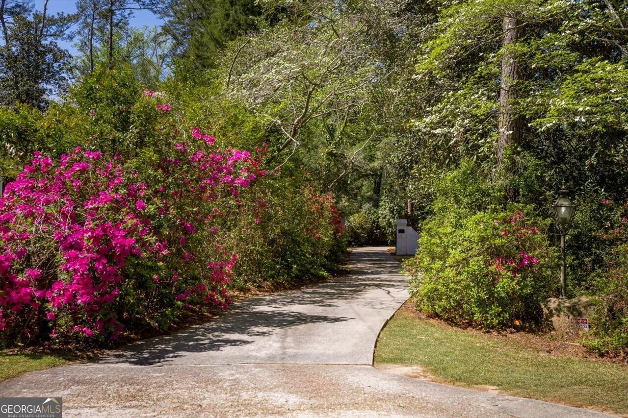 34 Pine Level Drive Hawkinsville - Photo 81