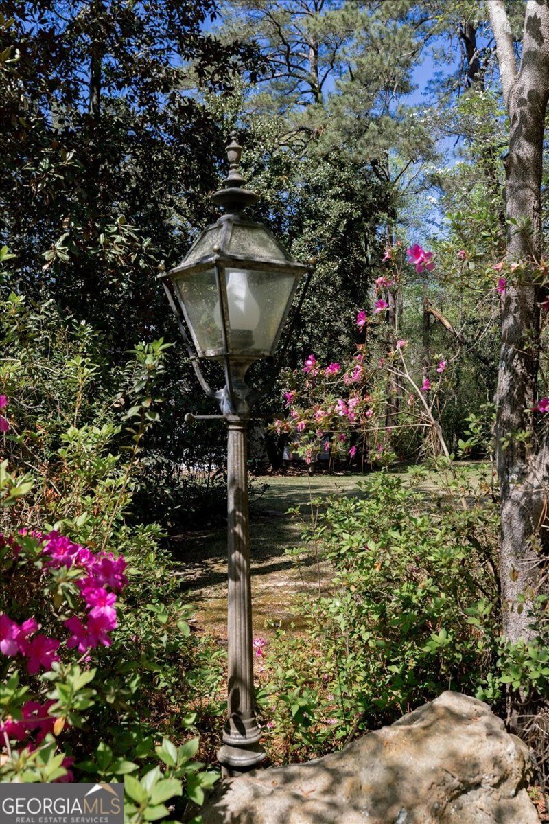 34 Pine Level Drive Hawkinsville - Photo 82