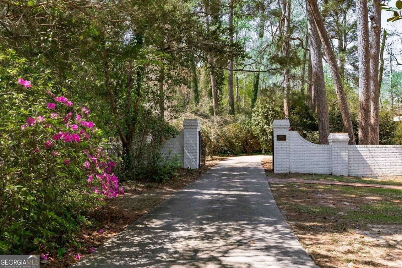 34 Pine Level Drive Hawkinsville - Photo 84