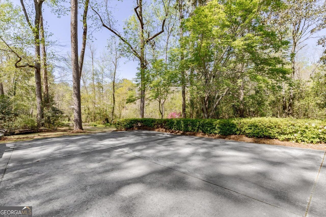 34 Pine Level Drive Hawkinsville - Photo 93