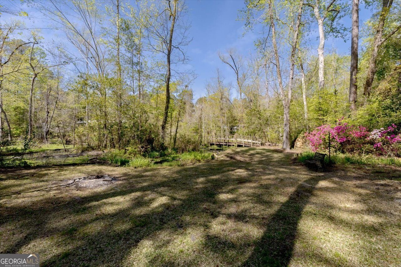 34 Pine Level Drive Hawkinsville - Photo 94