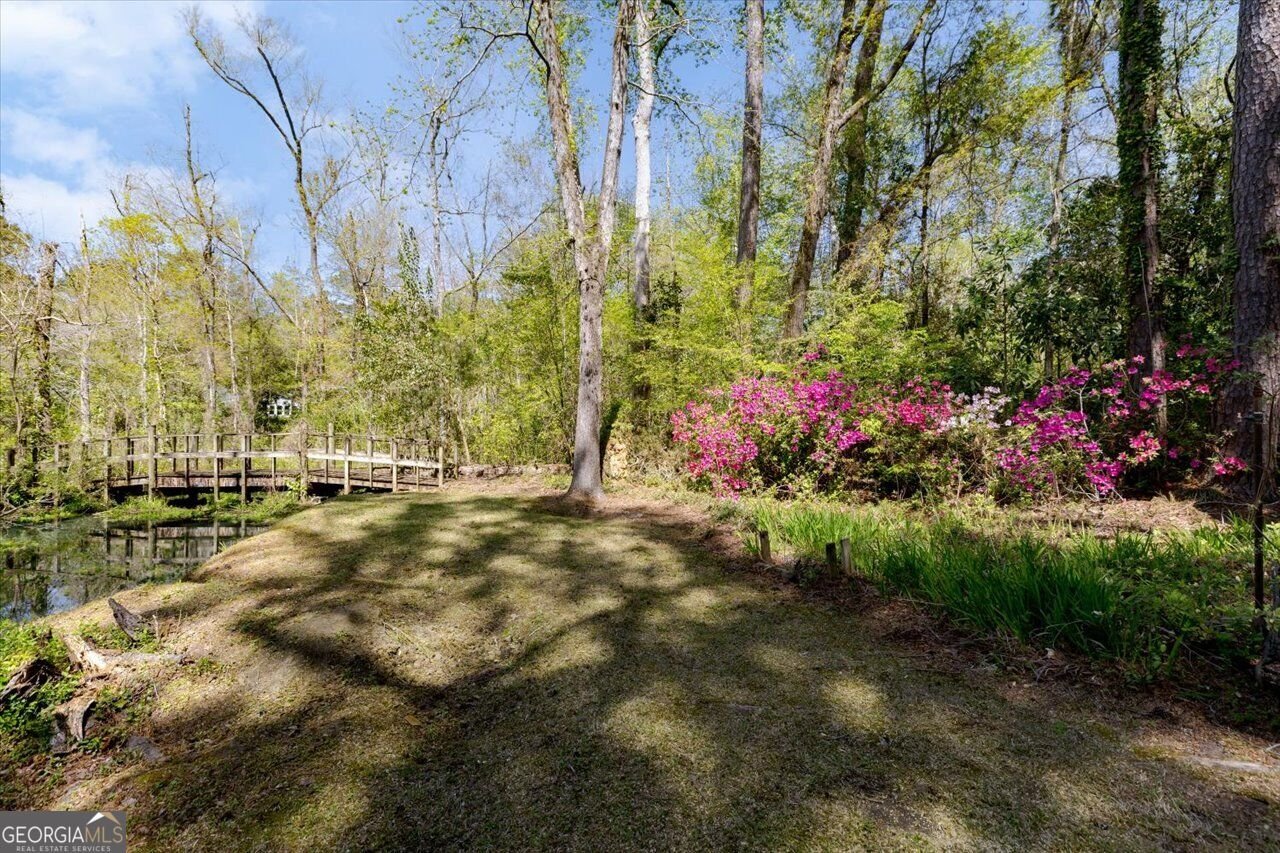 34 Pine Level Drive Hawkinsville - Photo 95
