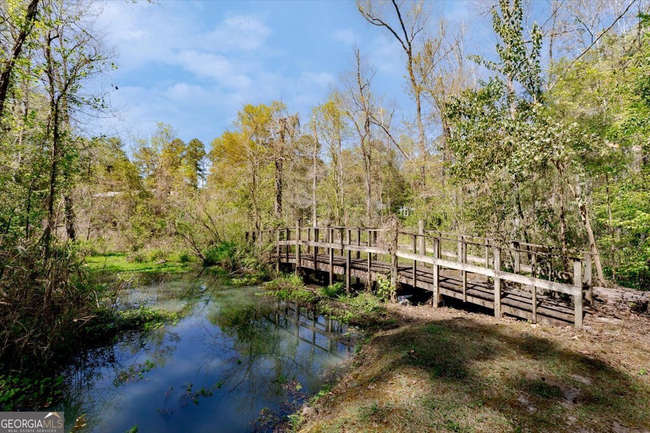 34 Pine Level Drive Hawkinsville - Photo 96