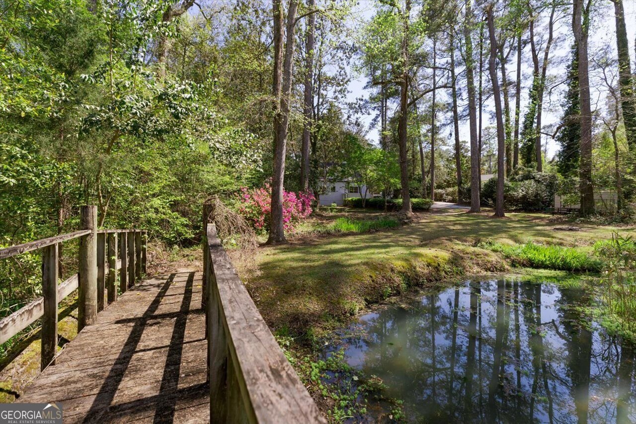 34 Pine Level Drive Hawkinsville - Photo 97