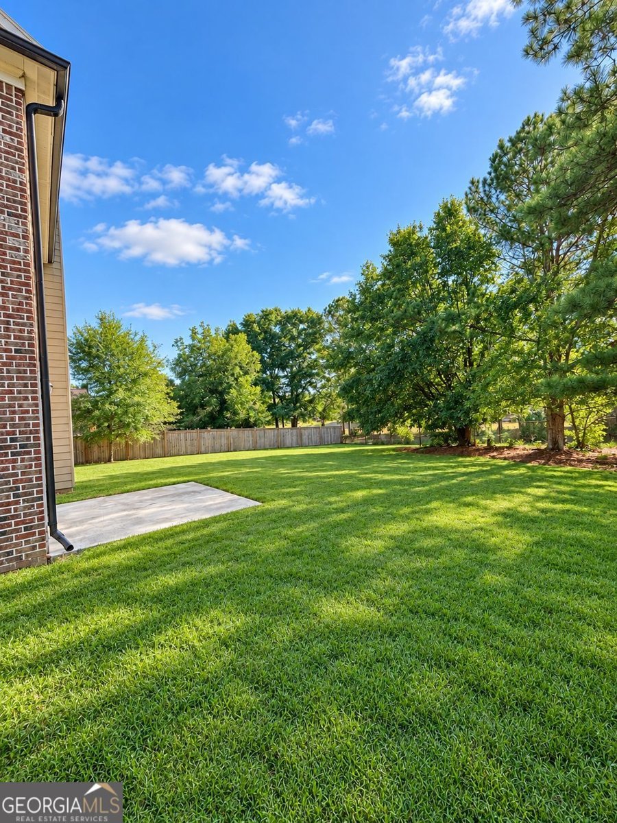 4139 Anthony Creek Drive Loganville - Photo 28