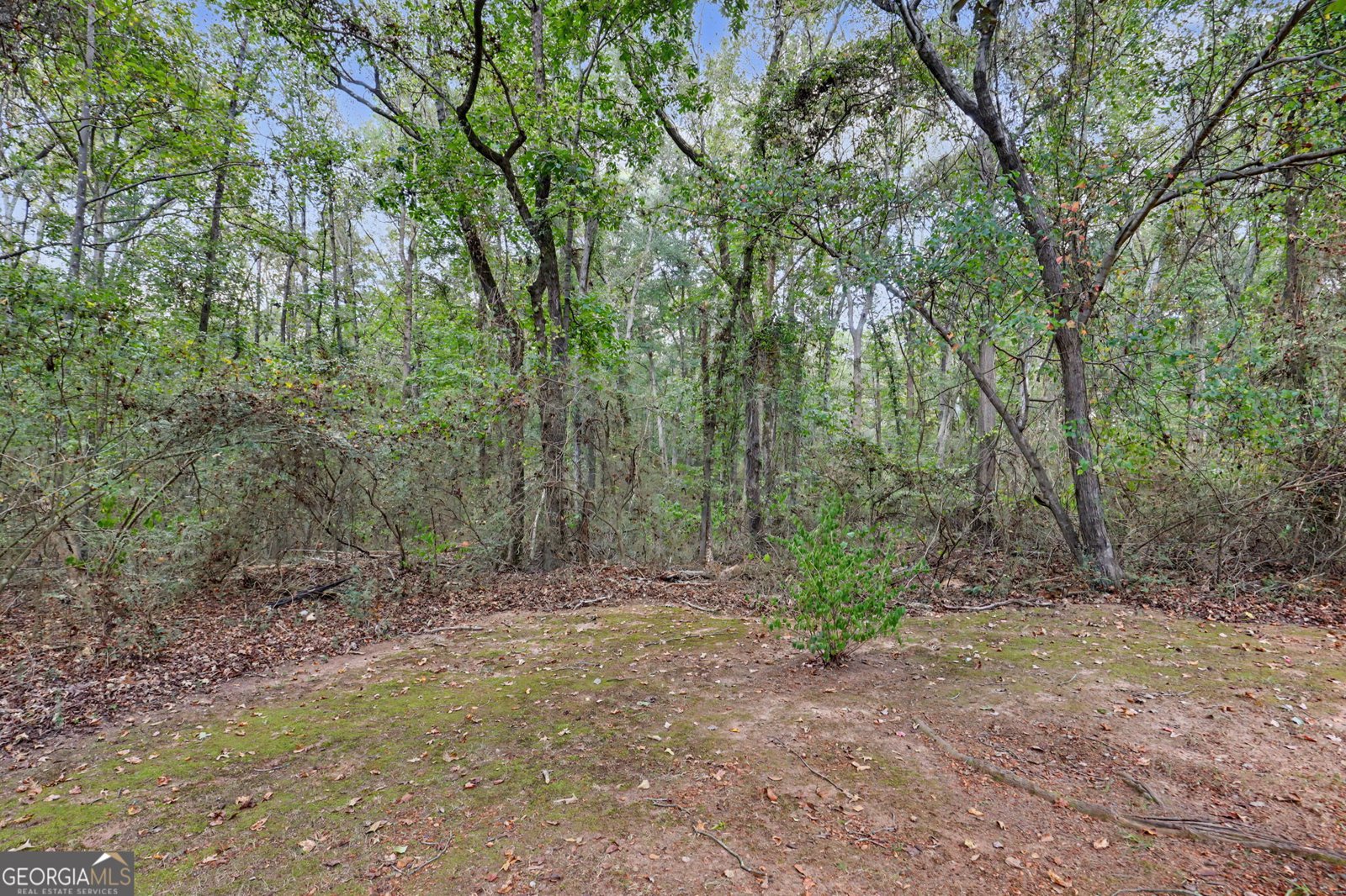 830 Lord Fleming Road Comer - Photo 51