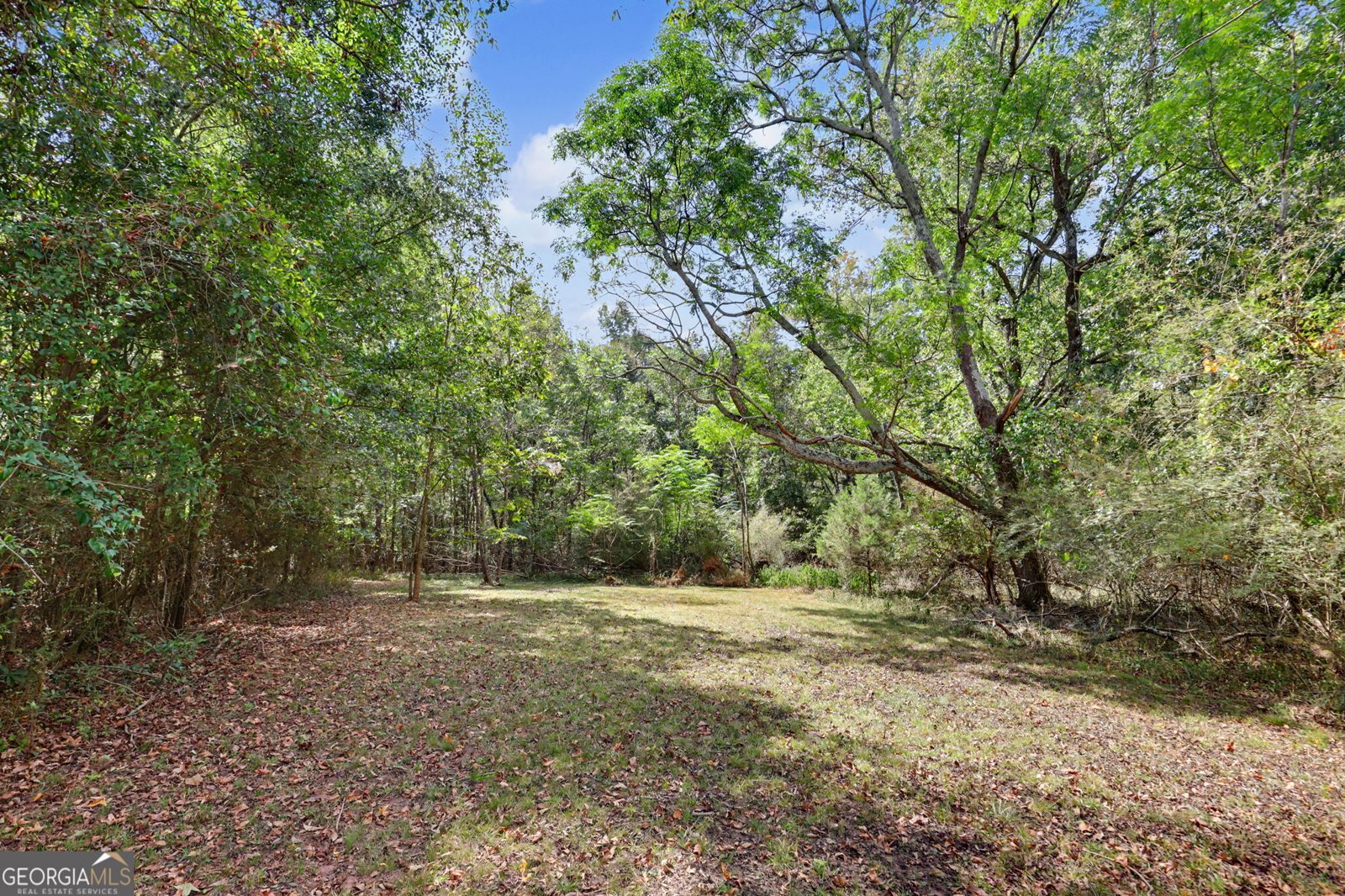 830 Lord Fleming Road Comer - Photo 58