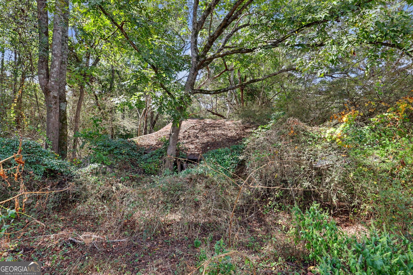 830 Lord Fleming Road Comer - Photo 59