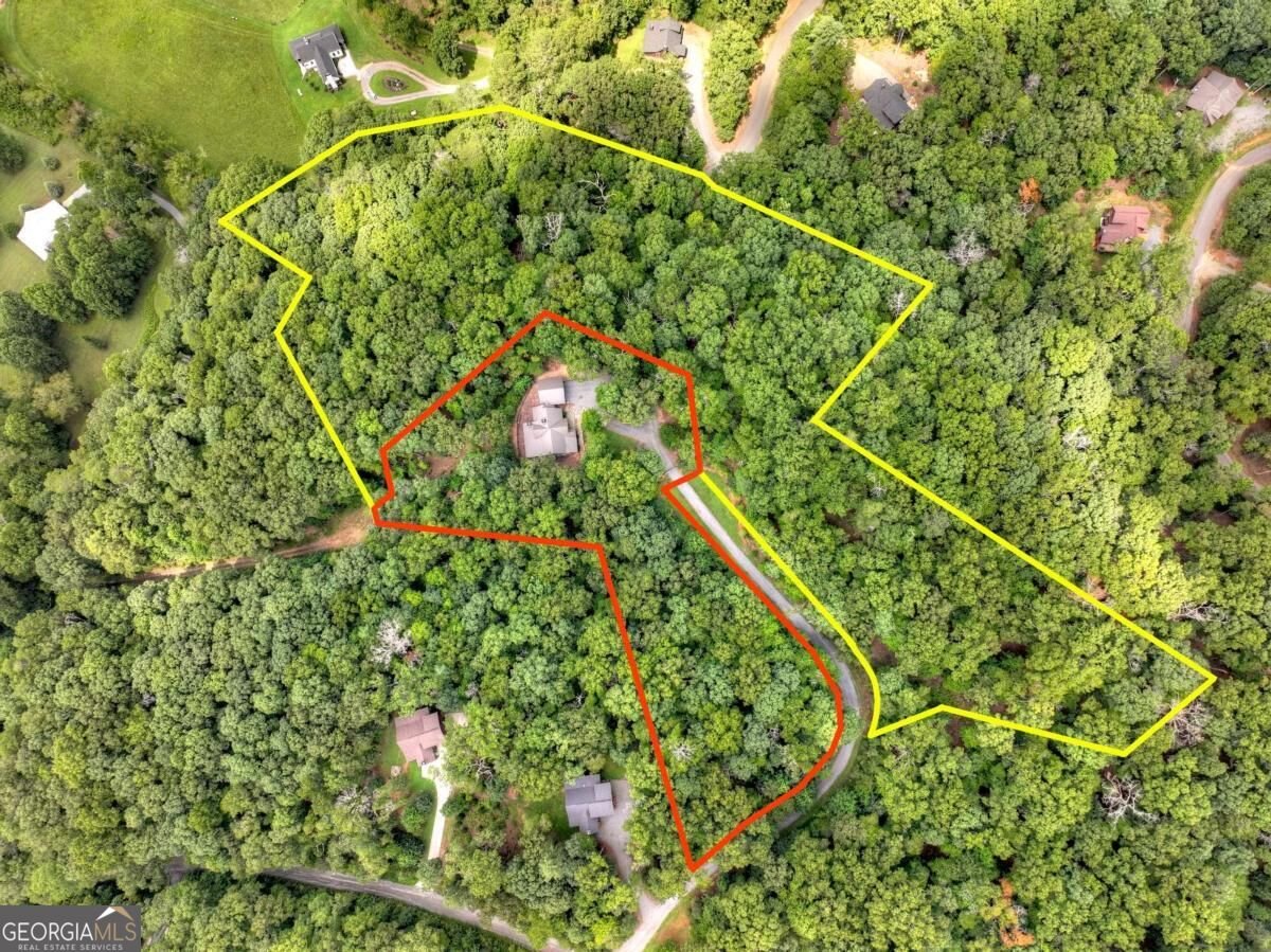 274 Hot House Drive Mineral Bluff - Photo 43