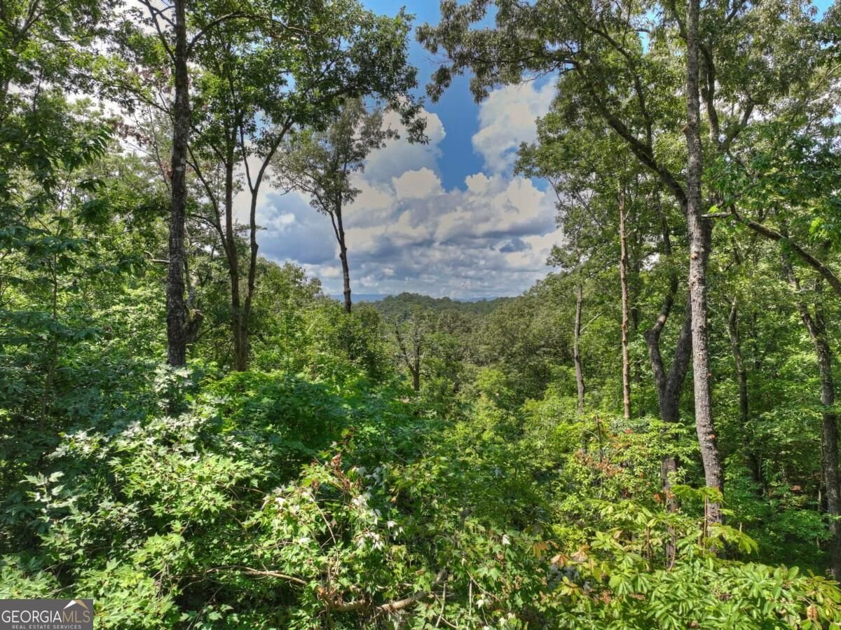 274 Hot House Drive Mineral Bluff - Photo 46