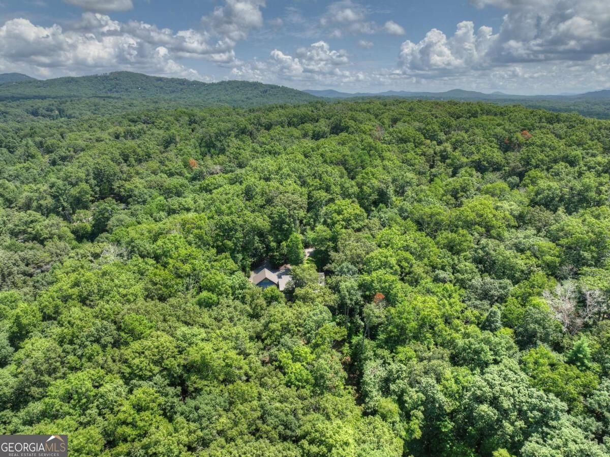 274 Hot House Drive Mineral Bluff - Photo 49
