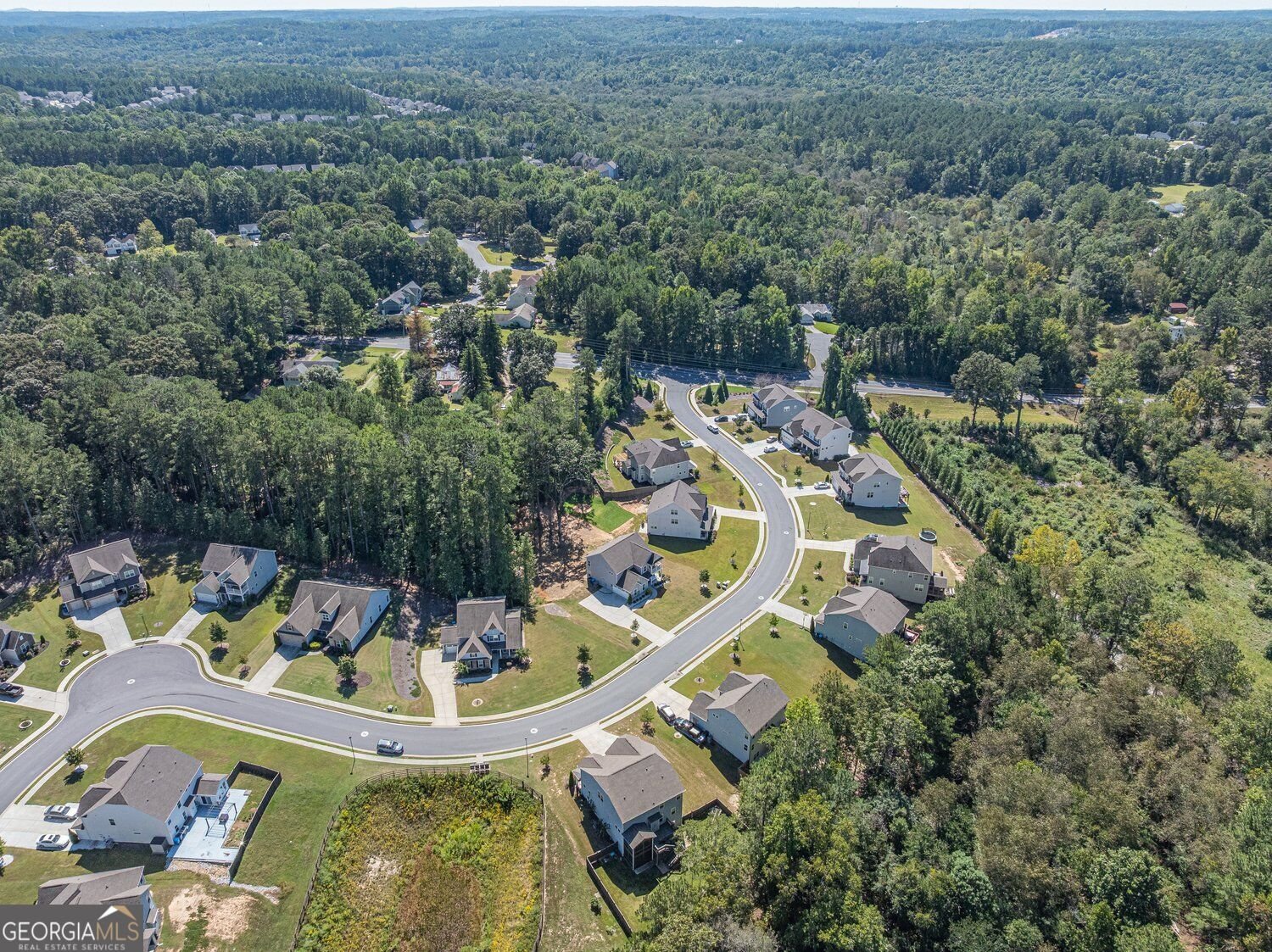 2849 Windsor Knoll Drive Dacula - Photo 85