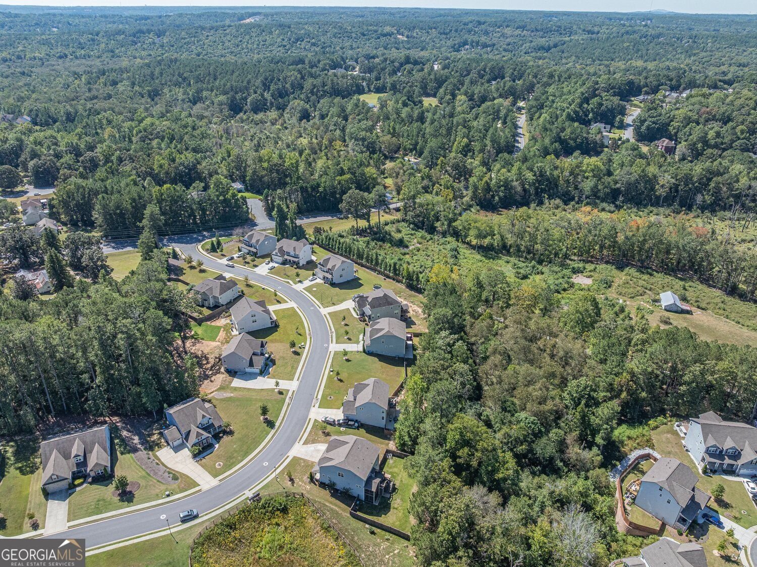 2849 Windsor Knoll Drive Dacula - Photo 86
