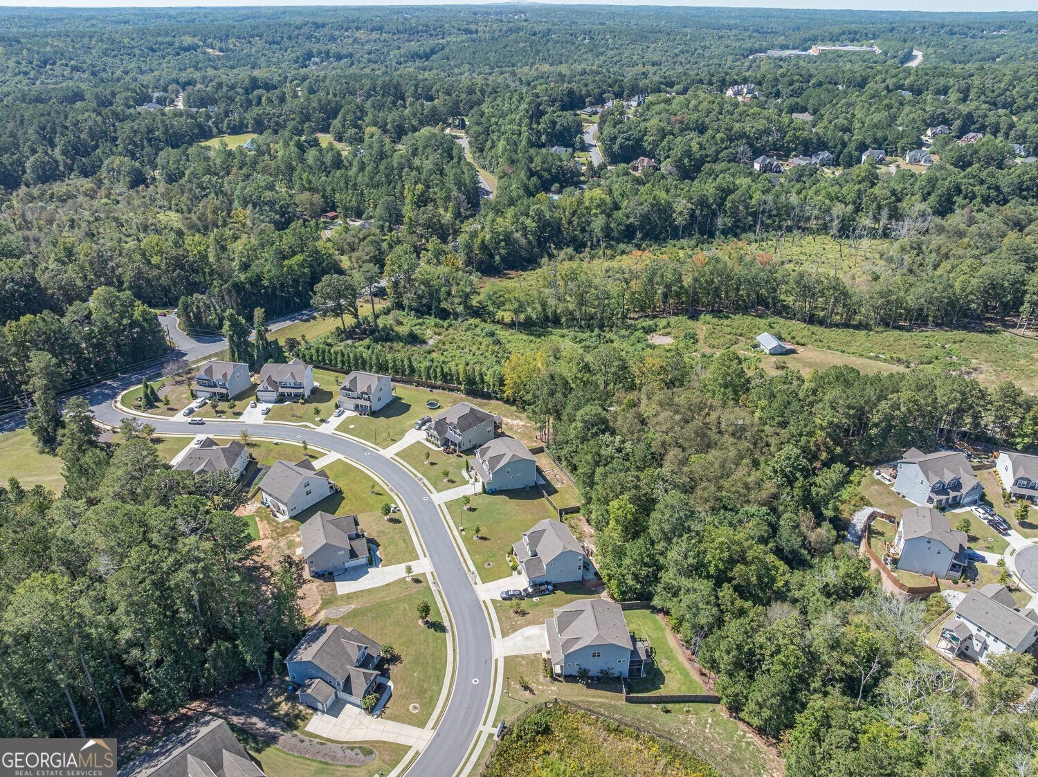 2849 Windsor Knoll Drive Dacula - Photo 87