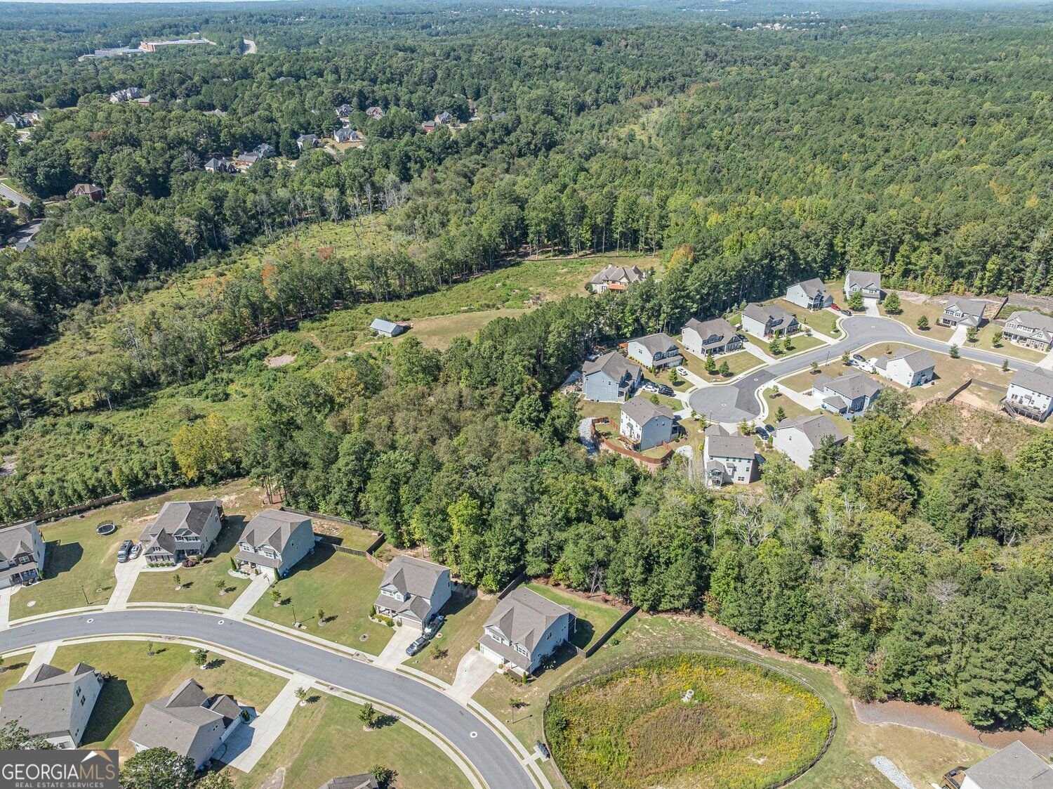 2849 Windsor Knoll Drive Dacula - Photo 88