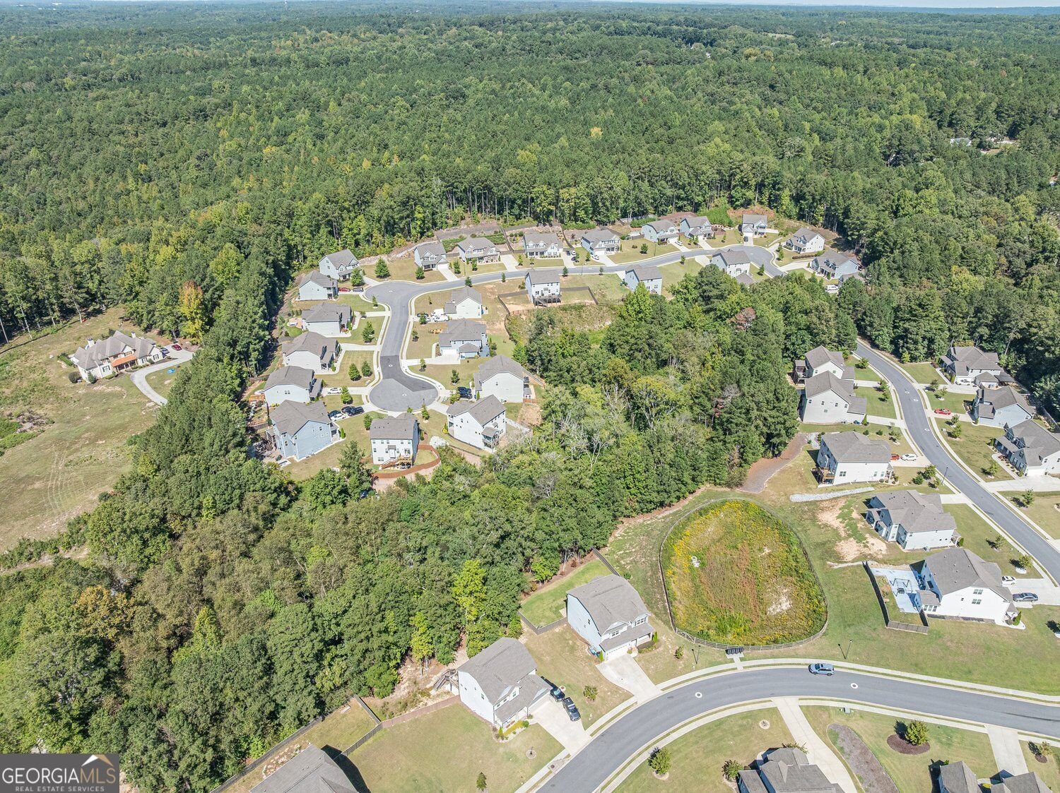 2849 Windsor Knoll Drive Dacula - Photo 90