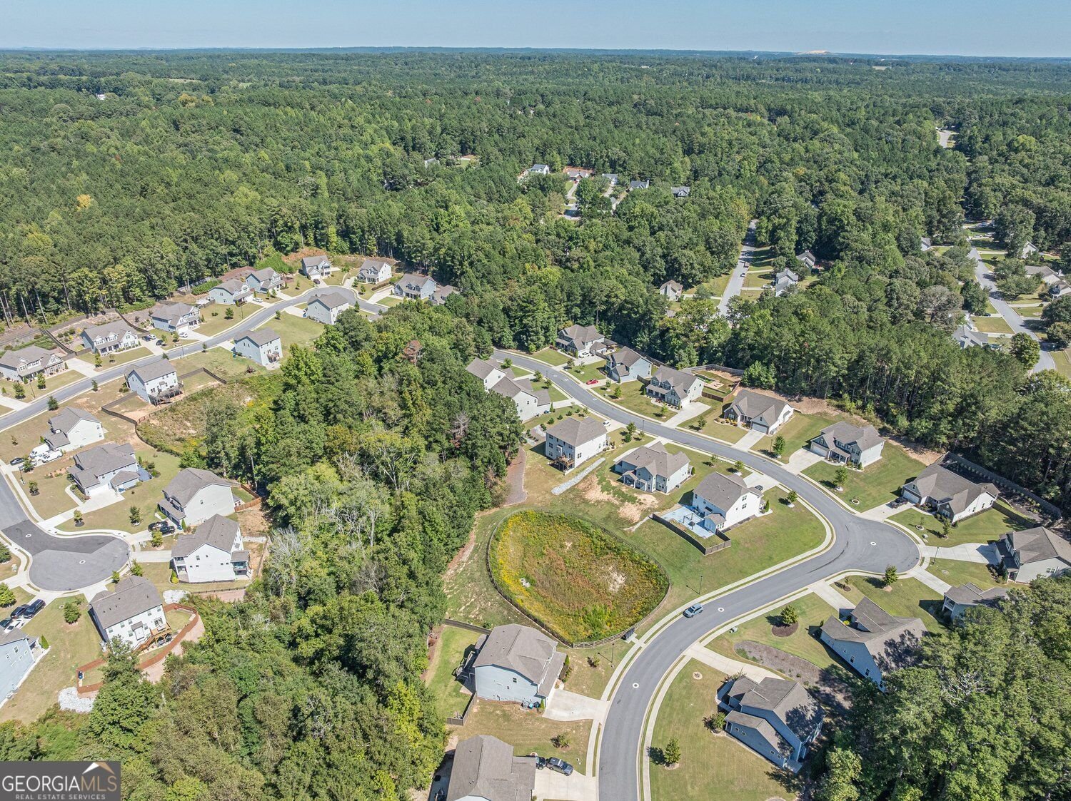 2849 Windsor Knoll Drive Dacula - Photo 91