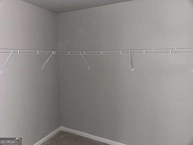 1156 Bodega Loop Locust Grove - Photo 19