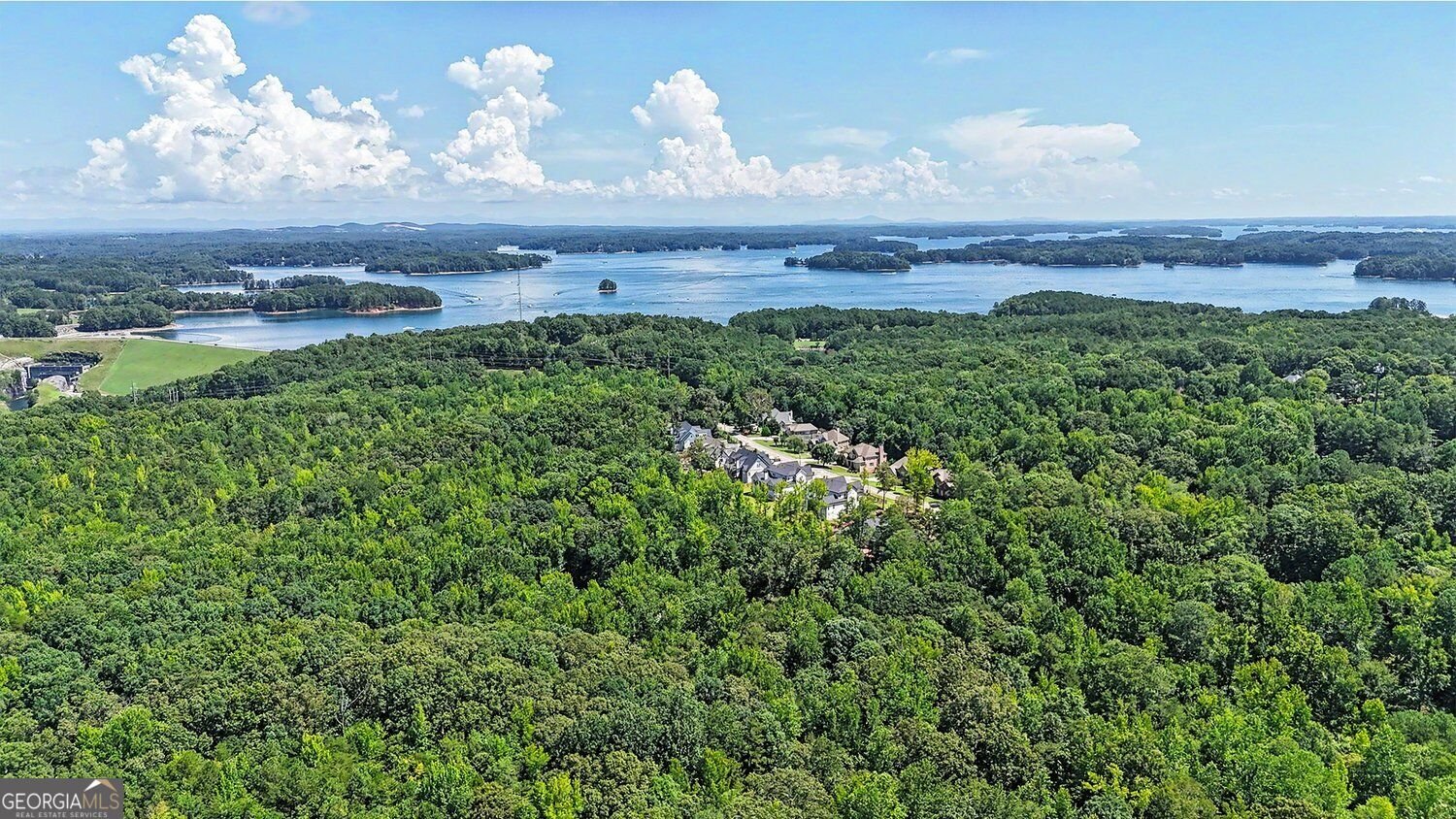 6699 Island Pointe Drive Buford - Photo 11