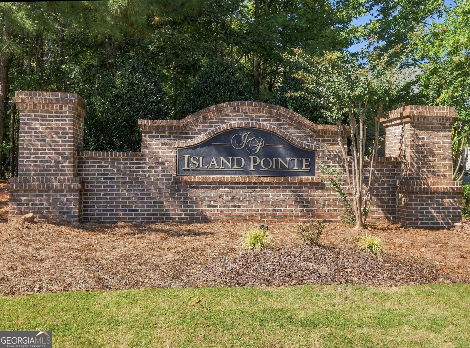6699 Island Pointe Drive Buford - Photo 50