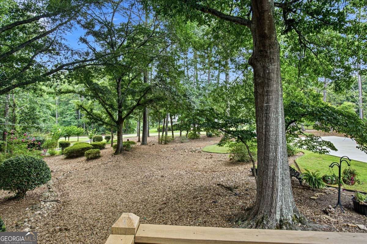 235 Roberts Road Covington - Photo 53