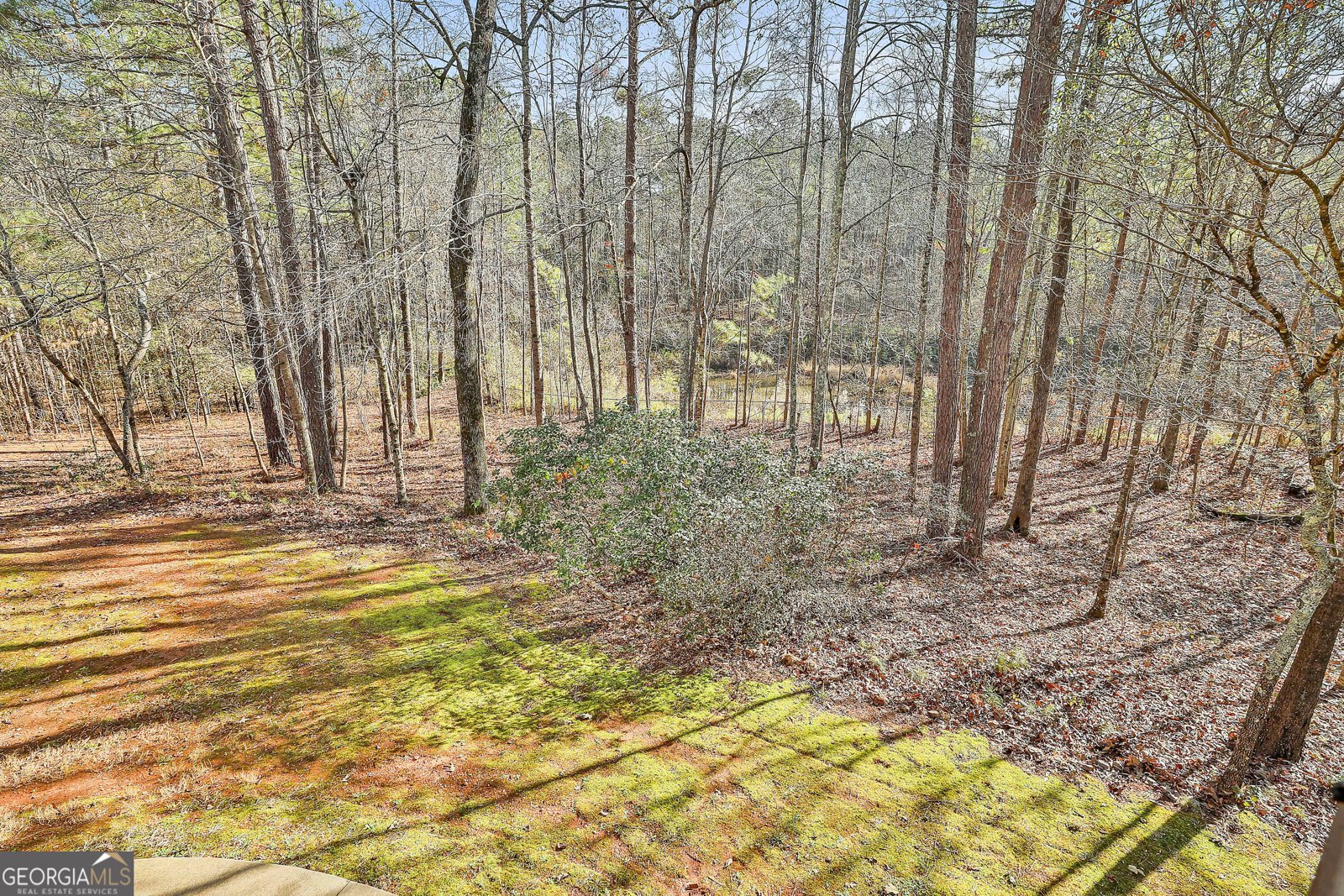 7497 Treehouse Court Douglasville - Photo 43