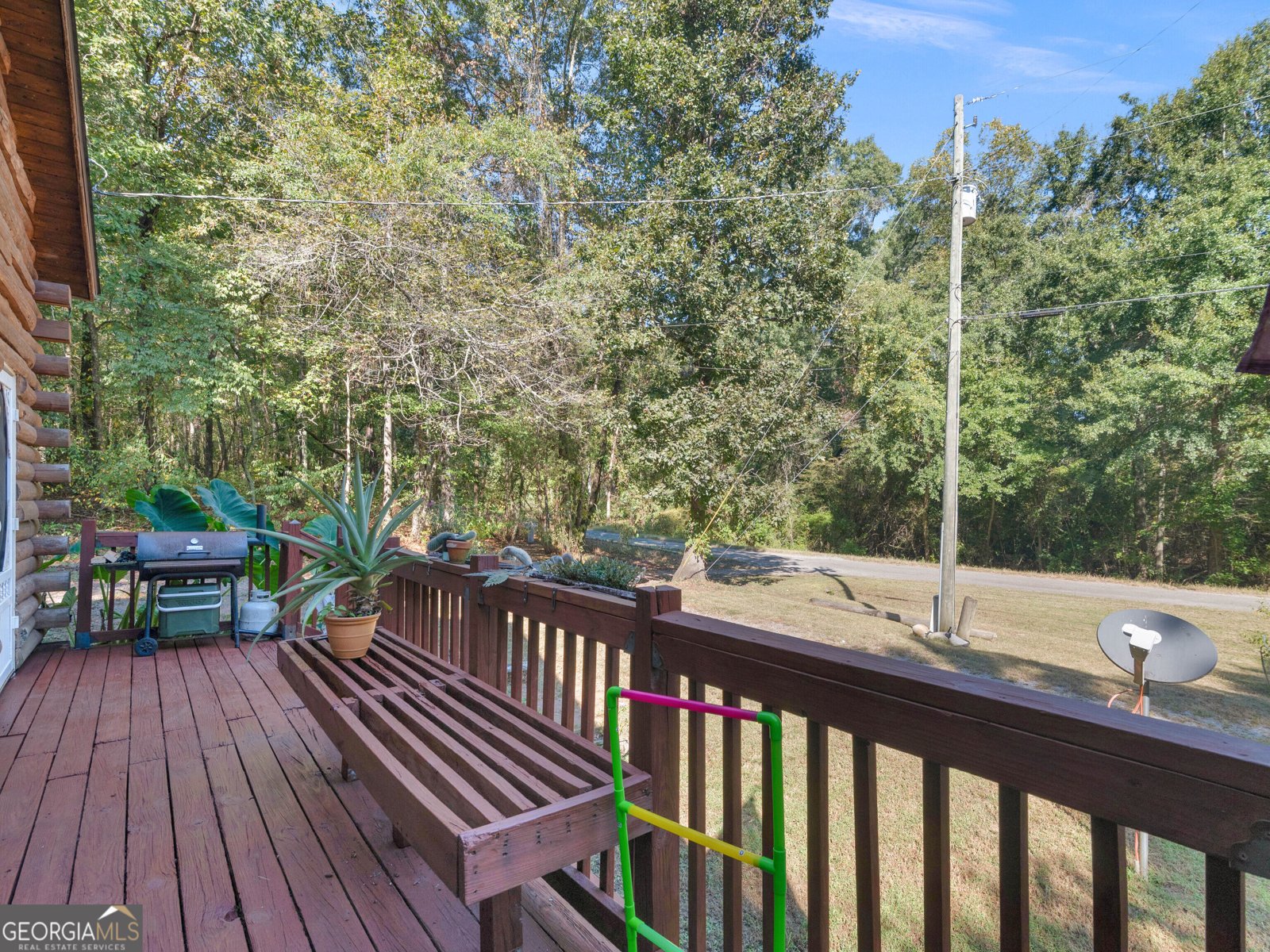 287 Dumas Road Forsyth - Photo 40
