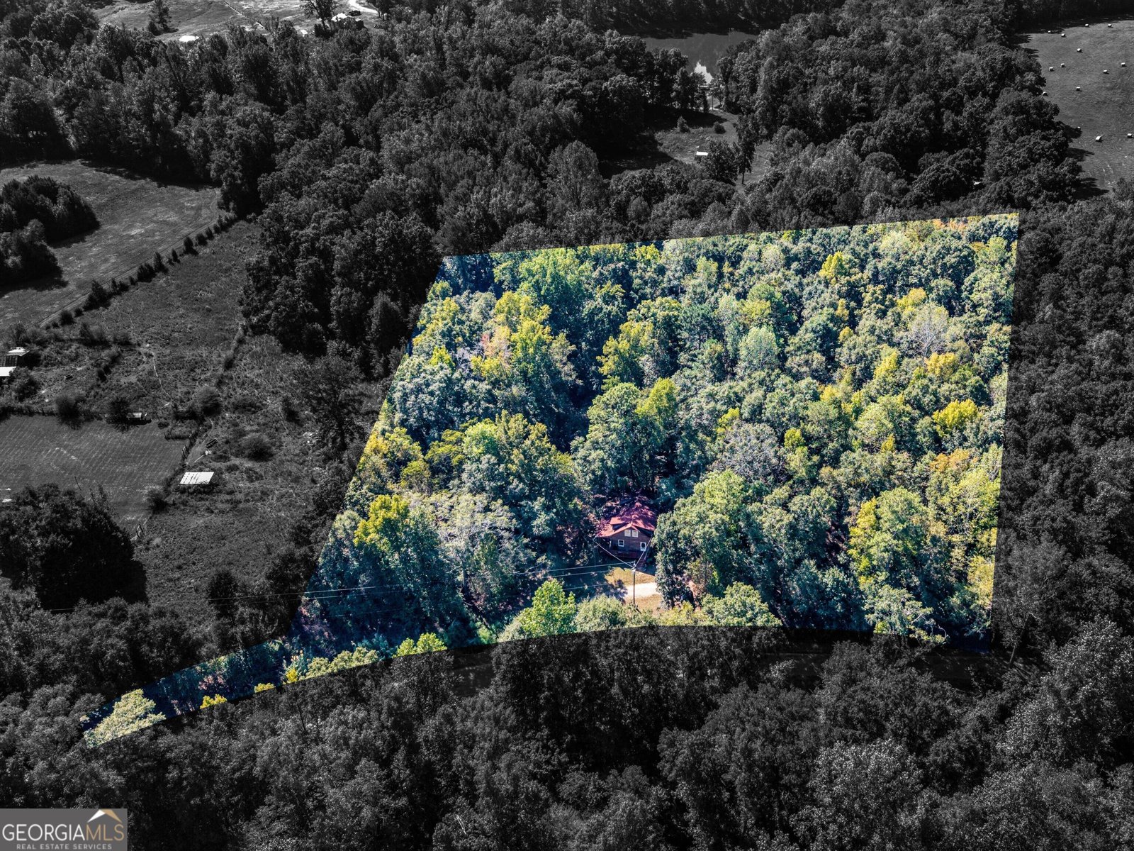287 Dumas Road Forsyth - Photo 41