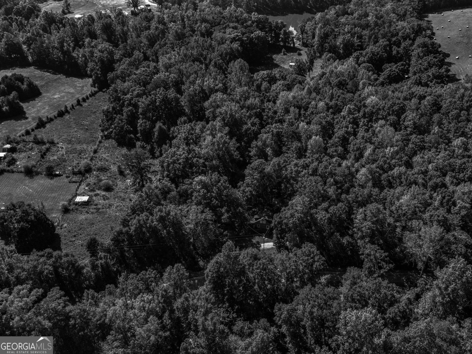 287 Dumas Road Forsyth - Photo 42