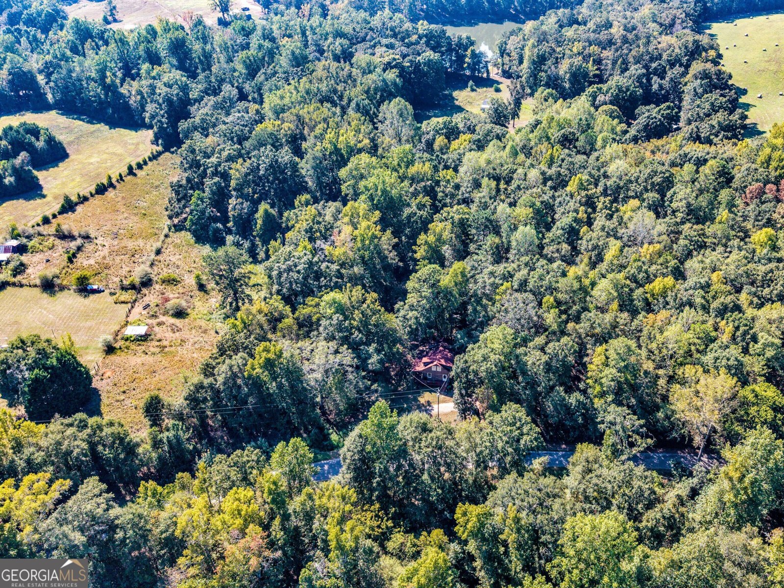 287 Dumas Road Forsyth - Photo 43