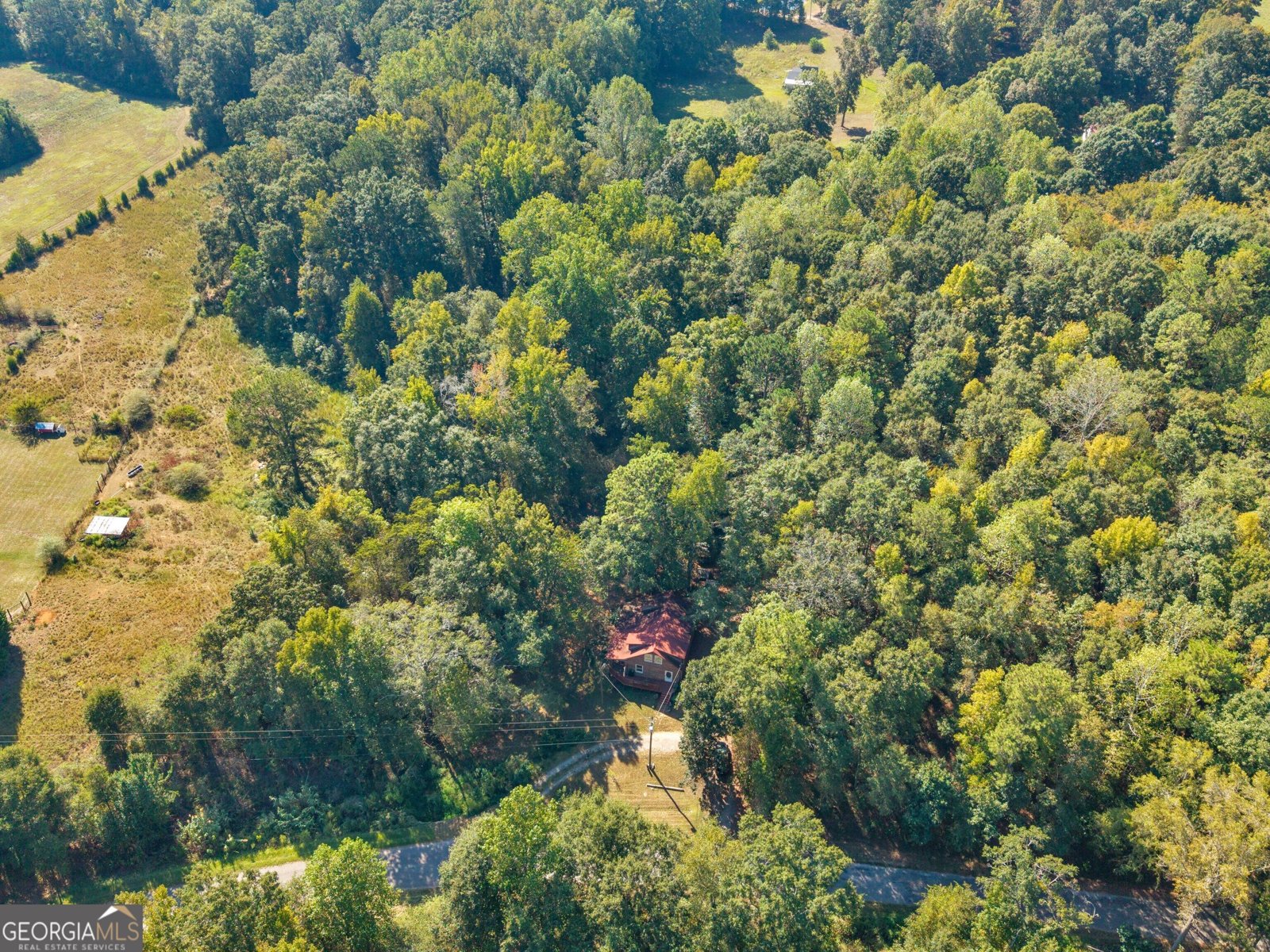 287 Dumas Road Forsyth - Photo 44