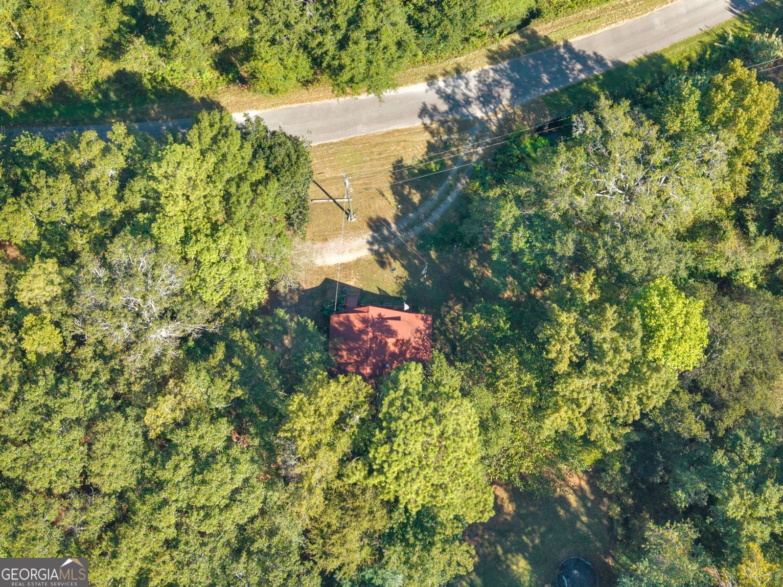 287 Dumas Road Forsyth - Photo 45