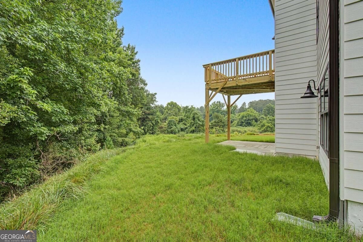 3351 Forest Green Drive Douglasville - Photo 34