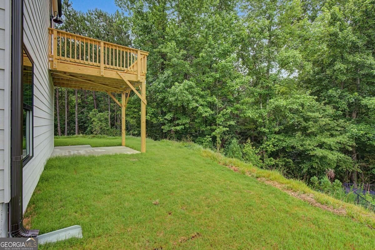 3351 Forest Green Drive Douglasville - Photo 35