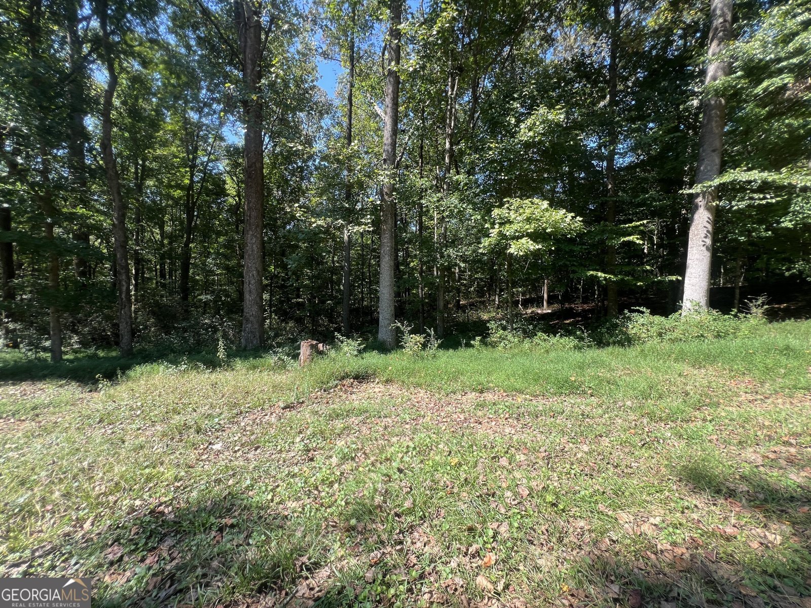 282 Montego Bay Trail Clarkesville - Photo 16
