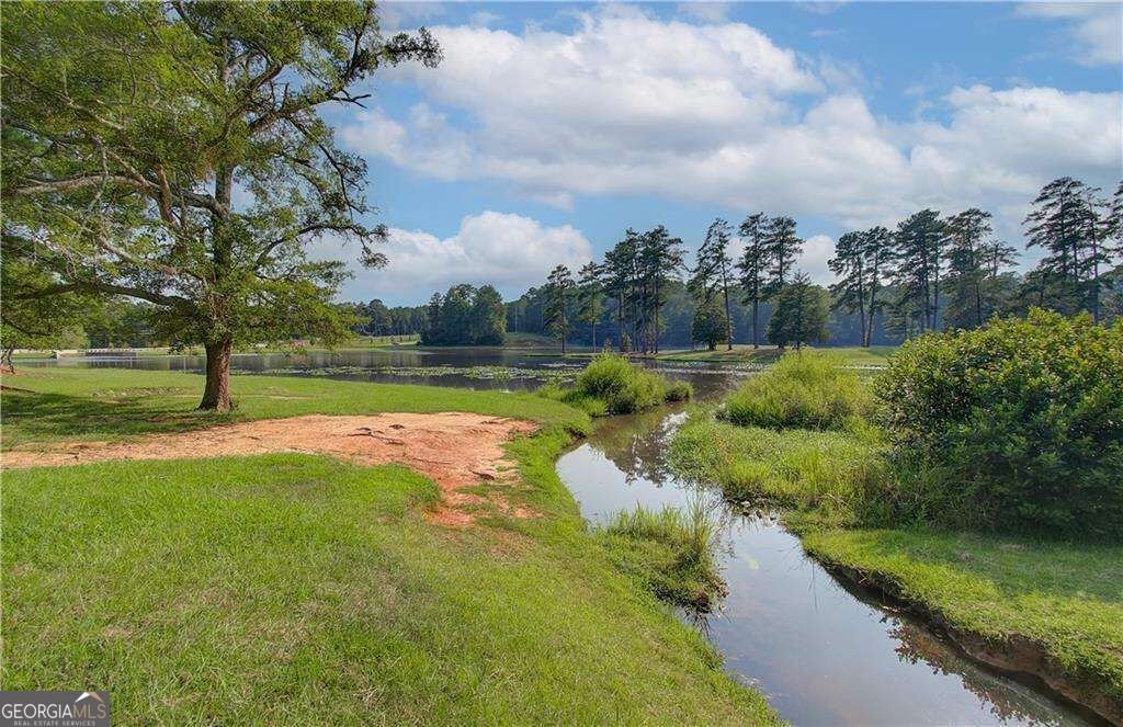 117 Homesite Saddle Drive Senoia - Photo 44