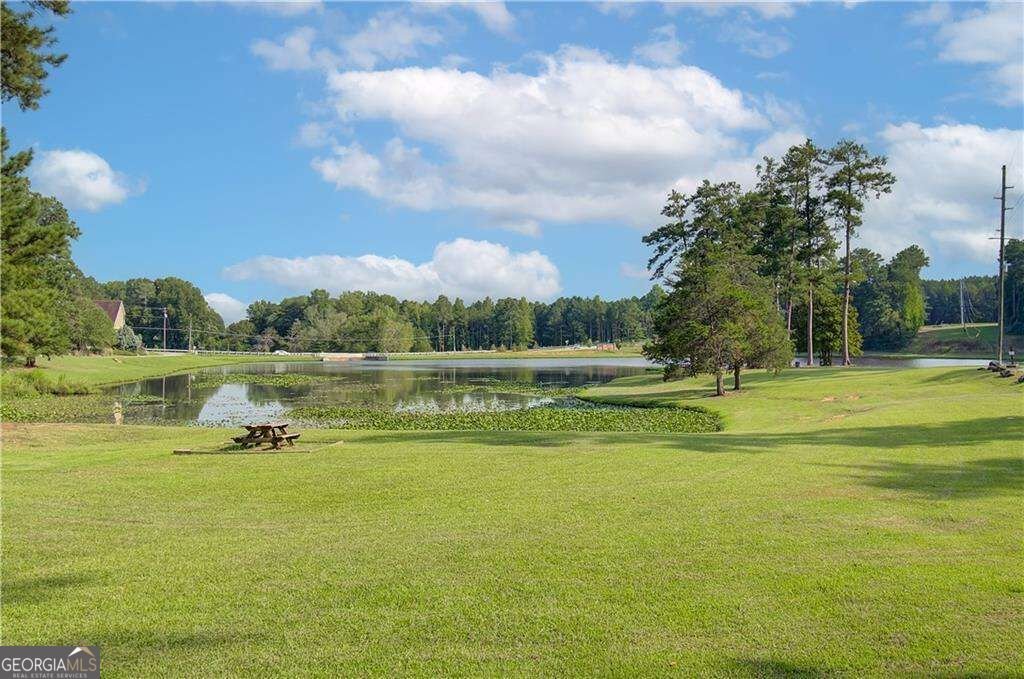 117 Homesite Saddle Drive Senoia - Photo 46