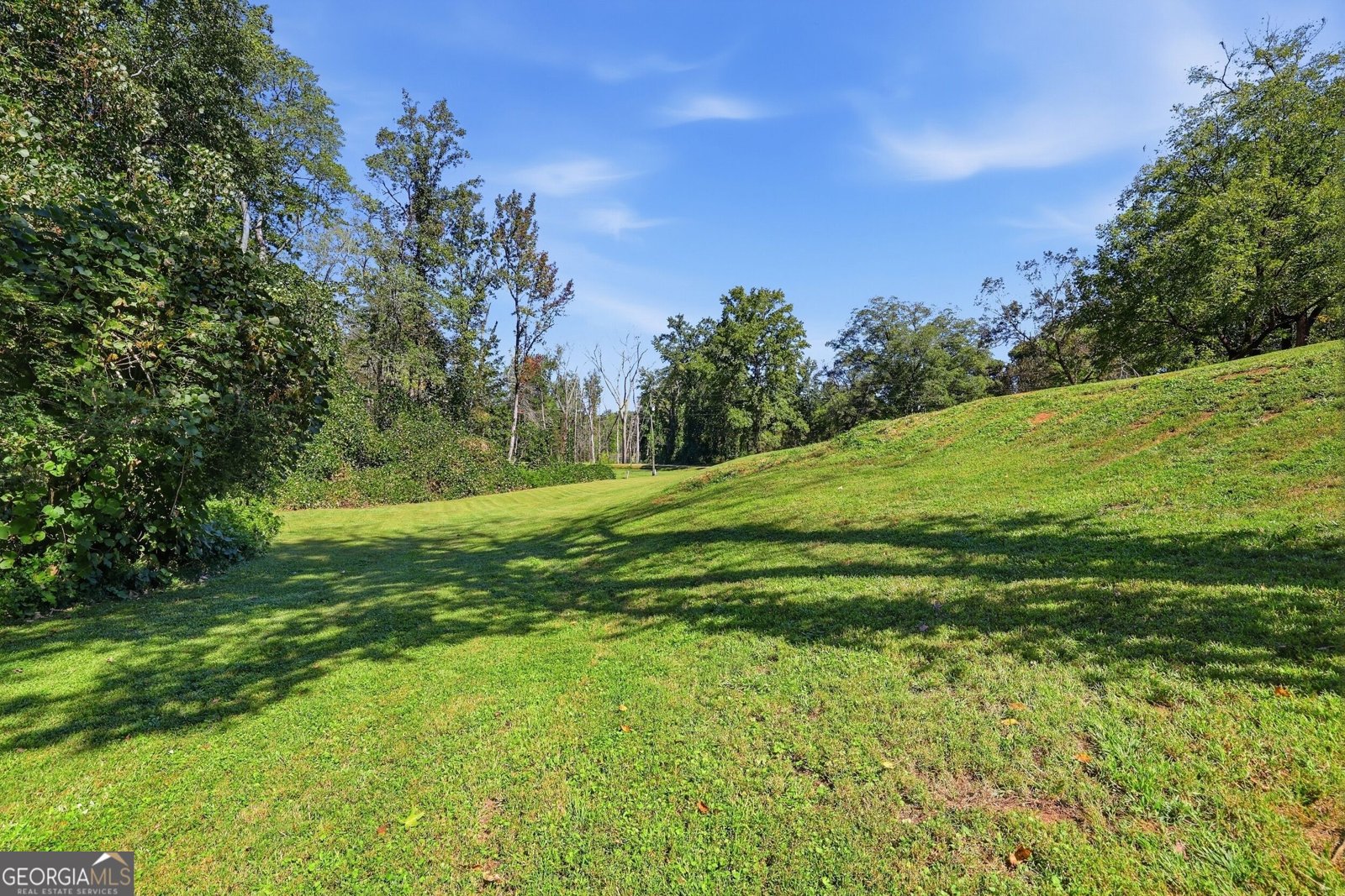 113 Lonesome Pond Road Cleveland - Photo 35