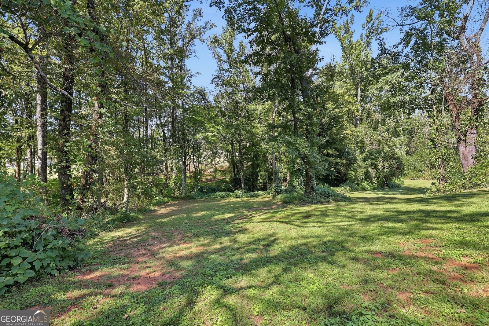 113 Lonesome Pond Road Cleveland - Photo 44