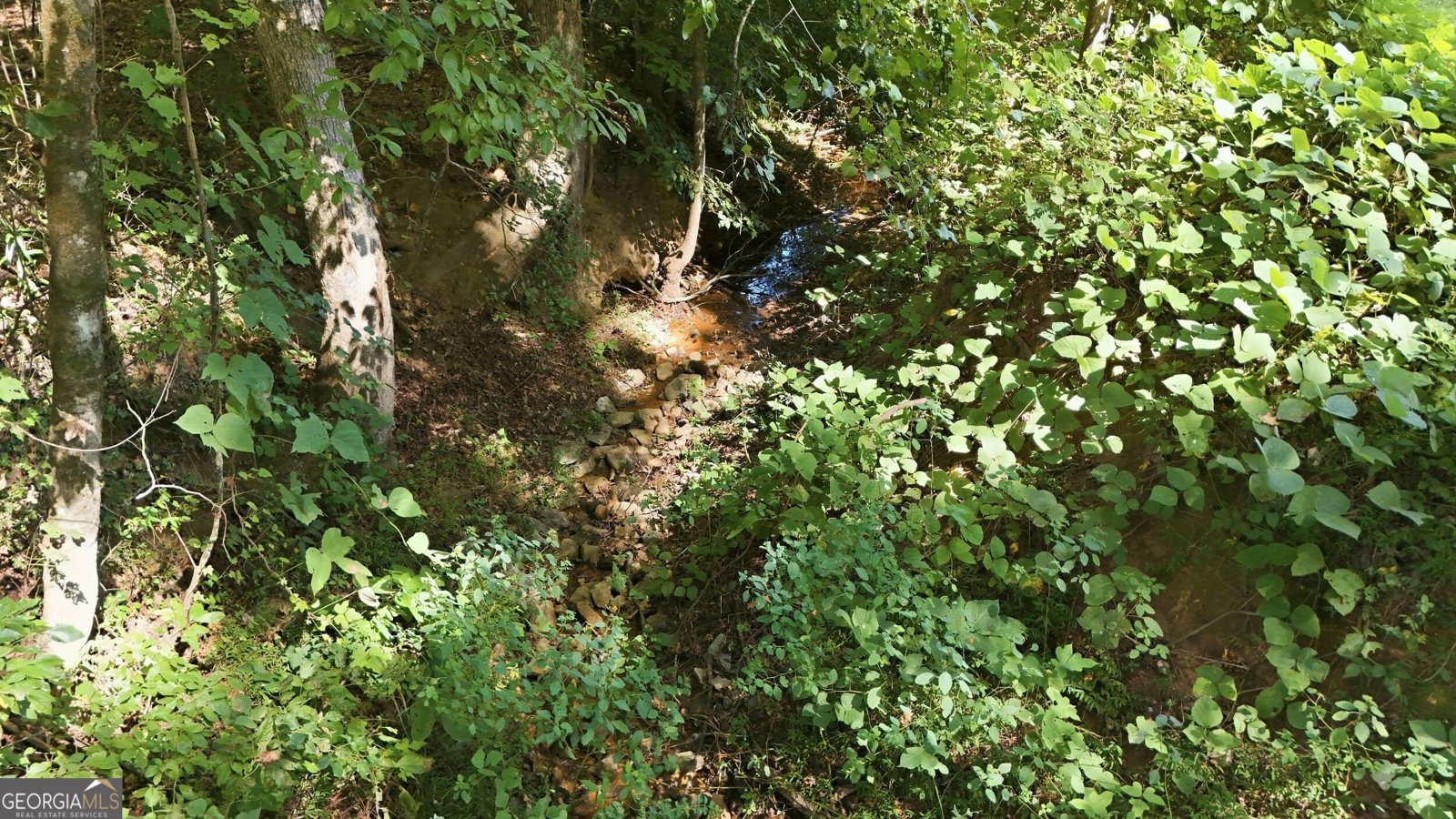 113 Lonesome Pond Road Cleveland - Photo 48