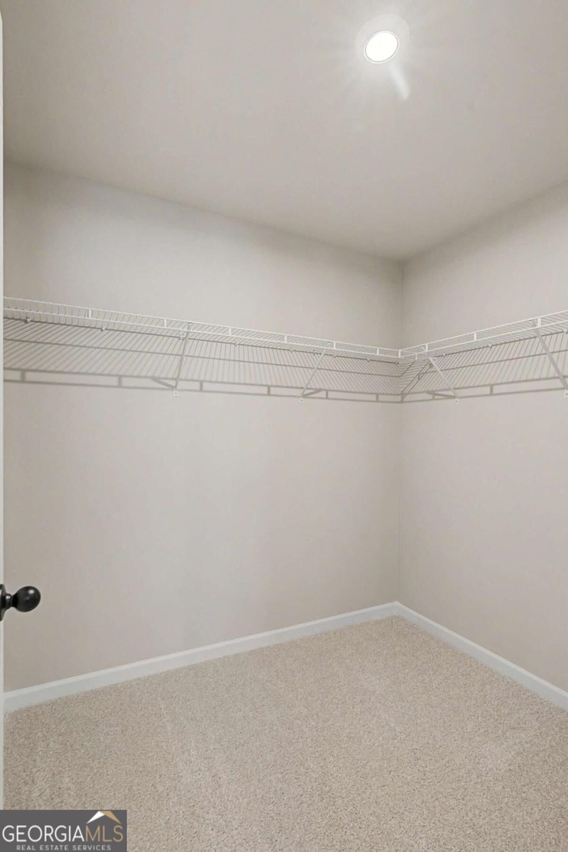 4101 Chapel Hill Reserve Douglasville - Photo 16