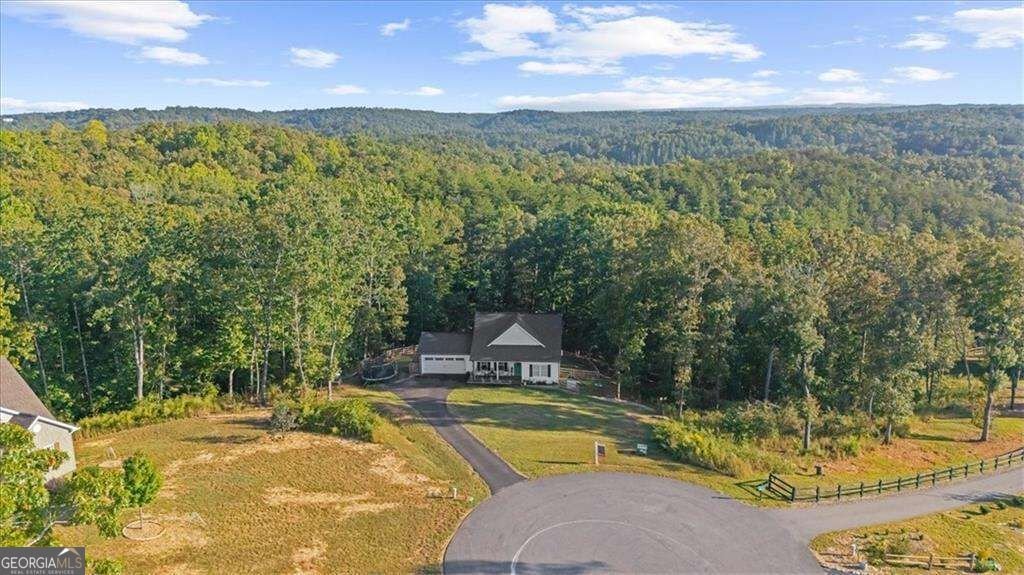 430 Silas Road Dahlonega - Photo 31