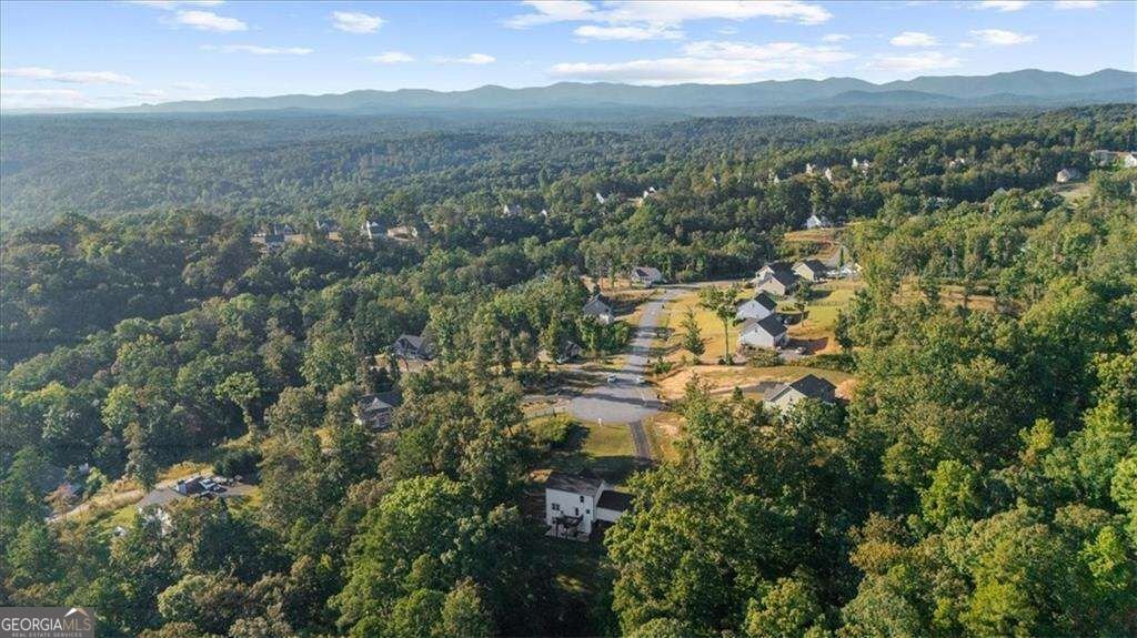 430 Silas Road Dahlonega - Photo 33